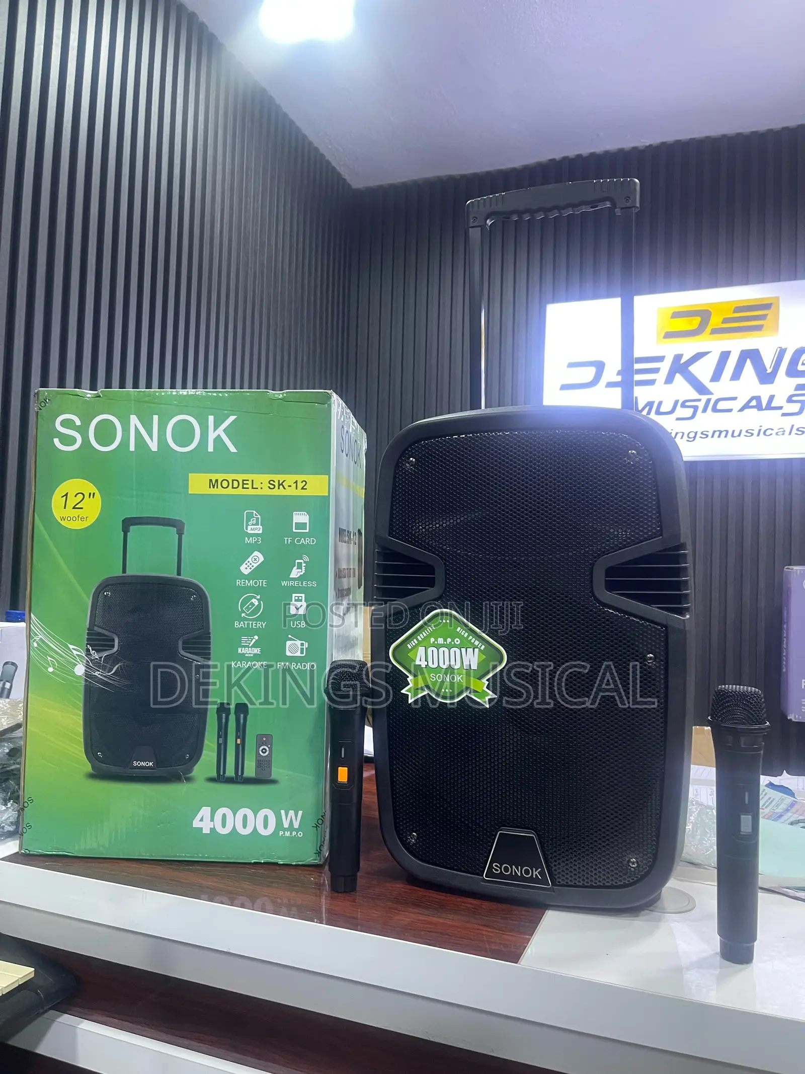 Sonok 12 Inches Rechargeable Pa System Bluetooth Speaker
