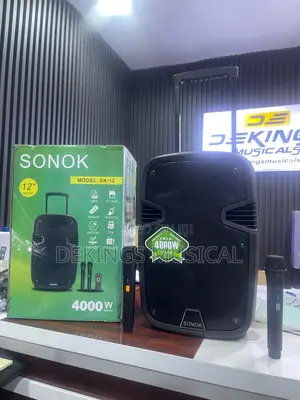 Sonok 12 Inches Rechargeable Pa System Bluetooth Speaker