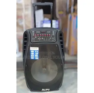 Alipu Public Addressing System Sp3510d. Big Body 15 Inches