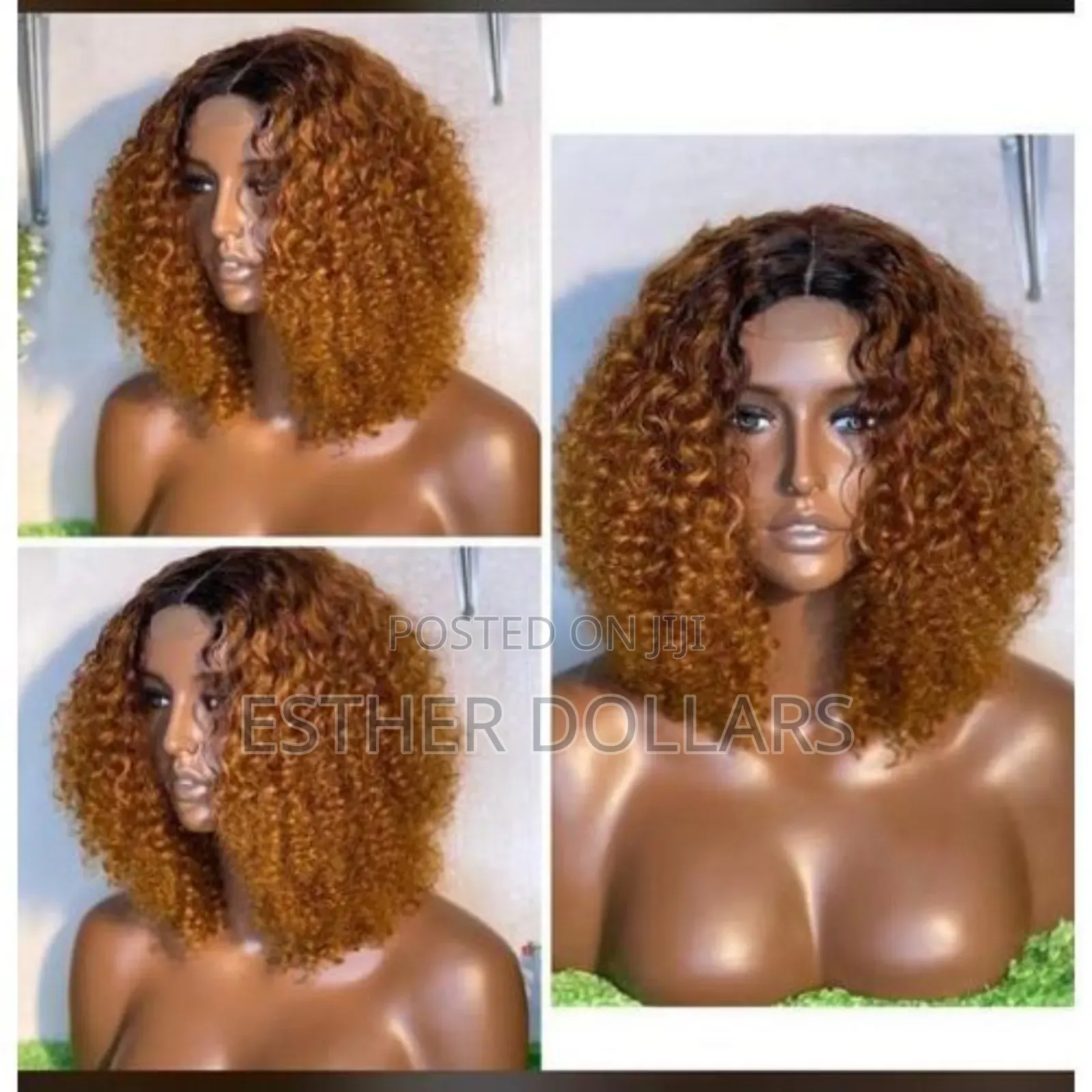 Darkroot Malaysia Curls