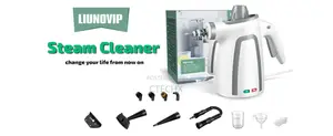 Handheld Steam Cleaner, for Home Multi-Purpose, 250ml Tank