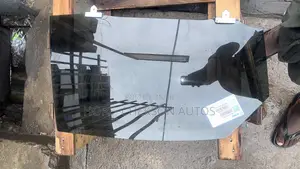 Back Door Glass Nx200t