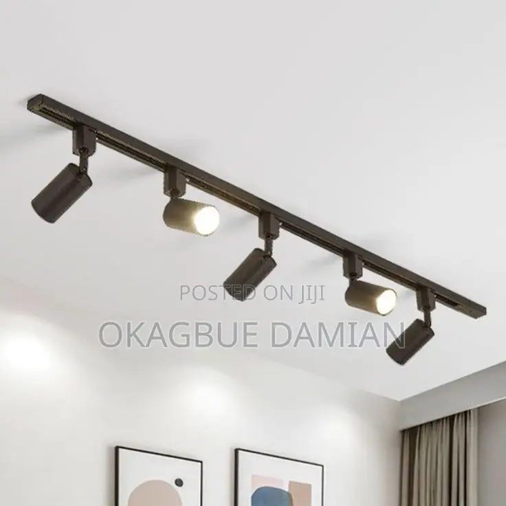 Track Light Both Black and White Body