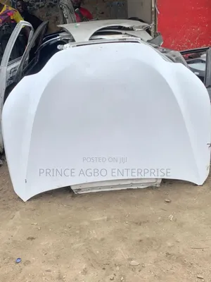 Lexus Bonnet Nx 2024 Model