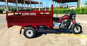 New Tricycle 2025 Red