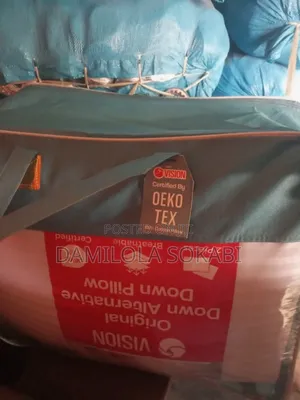 Vision Oeko Tex Down Standard Pillow