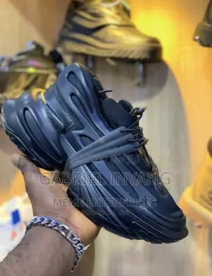 Photo - Sneakers Shoe