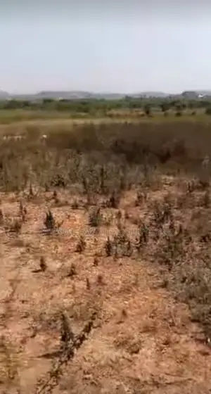 Virgin Land For Sale
