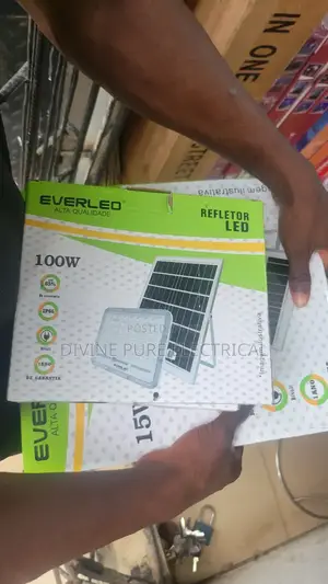 Separate Panel Solar Light