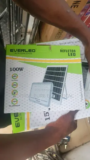 Separate Panel Solar Light