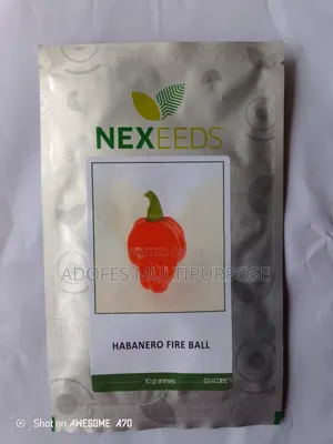 Habanero Red Rodo Pepper Seeds Fire Ball 10g