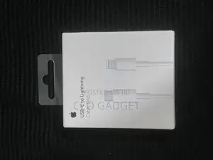 Usb C to Lightning Cable