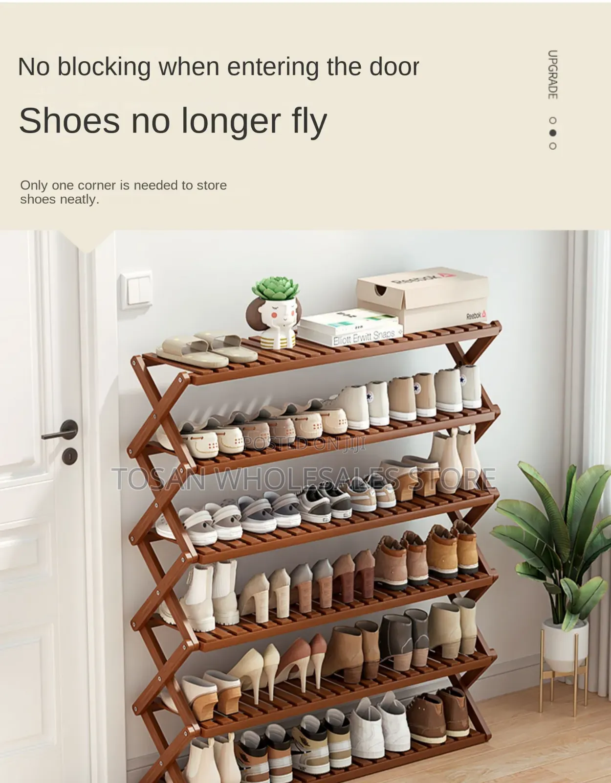 Modern Creative Shoerack
