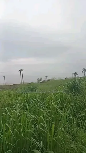 Alao Akala Gra, Akobo Ibadan.