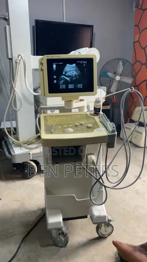 Ge Logiq 200 With 3 Probes