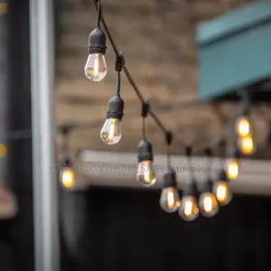 Decoration Light, Rope Wire and Bulbs