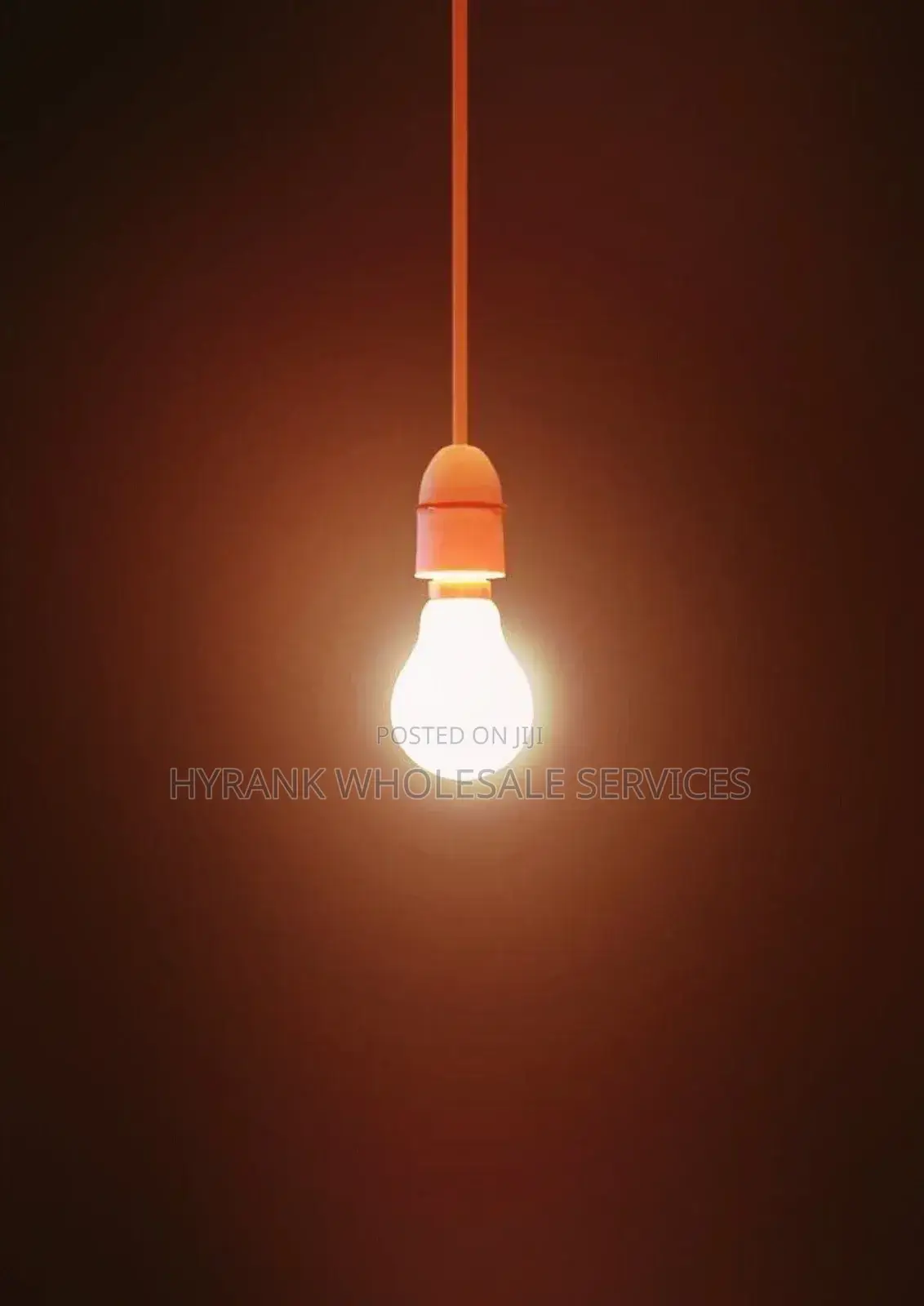 Decoration Light, Rope Wire and Bulbs
