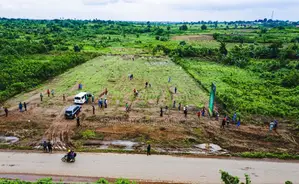Buy Land in Iremide Estate
