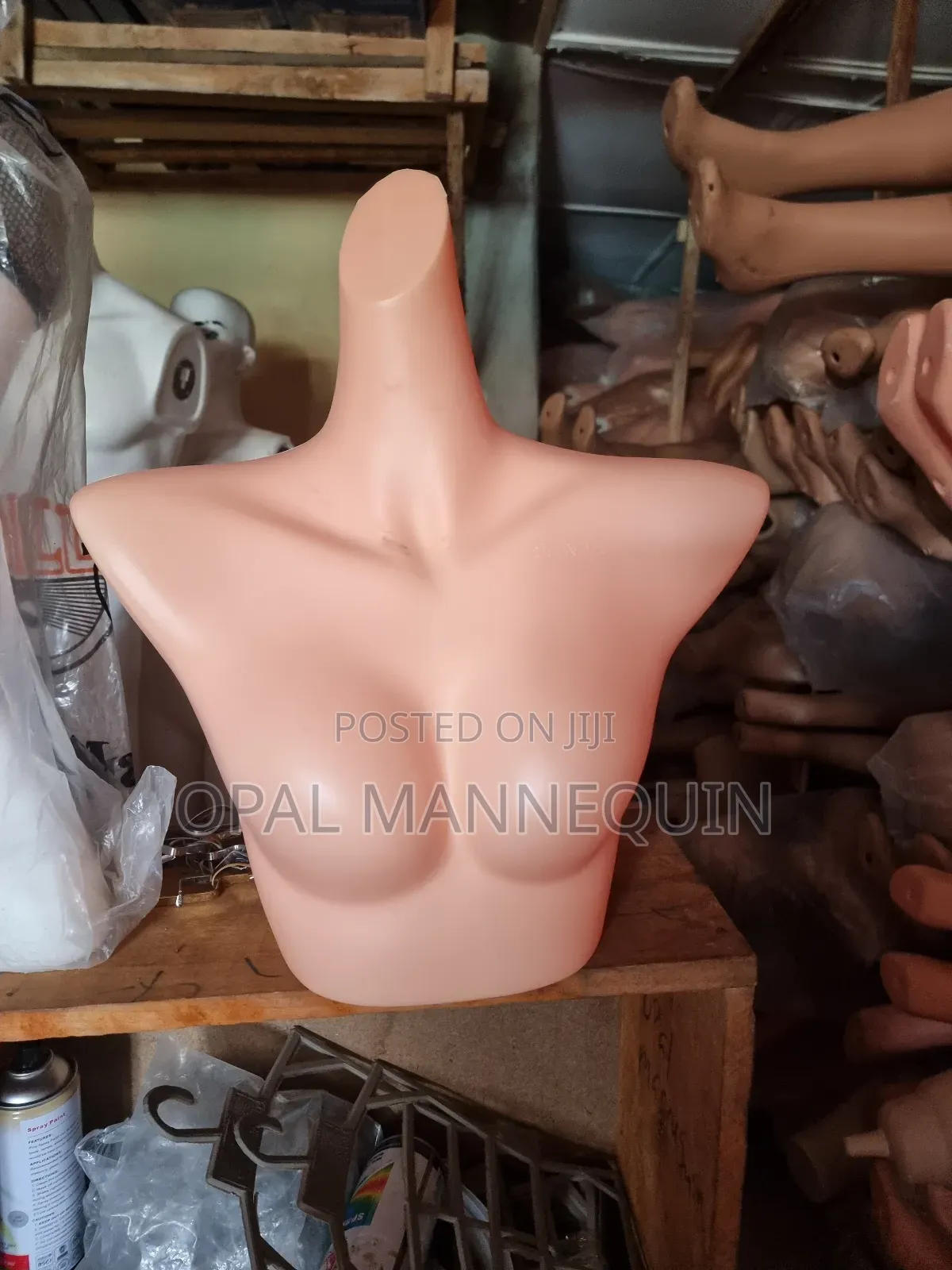 Bra Mannequin
