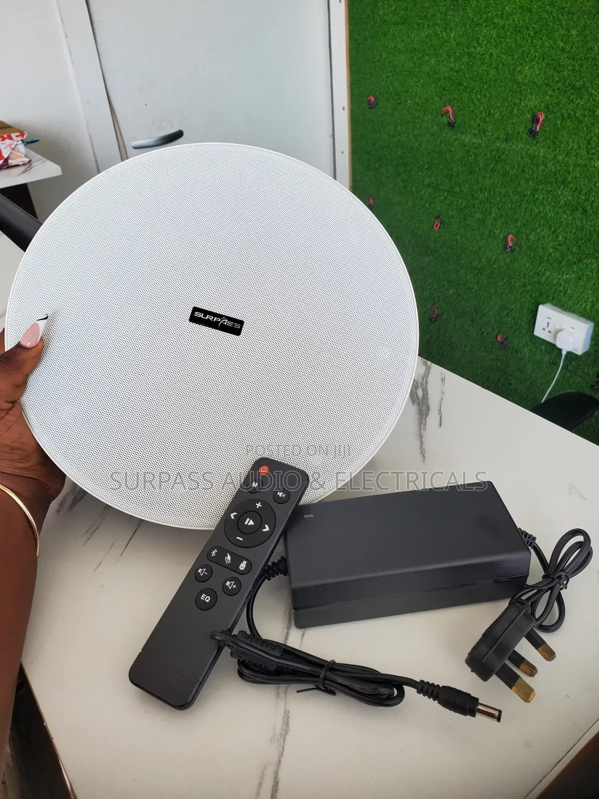 Ceiling Speaker