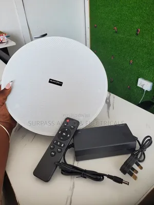 Ceiling Speaker