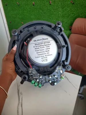 Ceiling Speaker