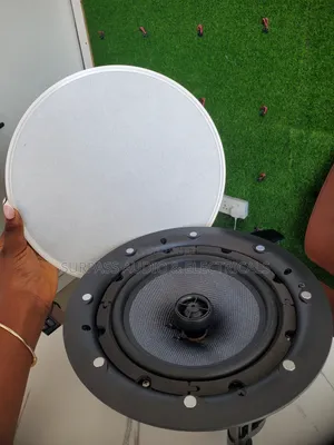 Ceiling Speaker
