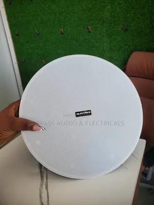 Ceiling Speaker