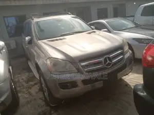 Mercedes-Benz GL-Class GL 450 2009 Brown