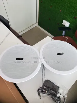 Ceiling/Pop Speakers