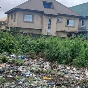 2 Plots of Land Selling at Satellite Town