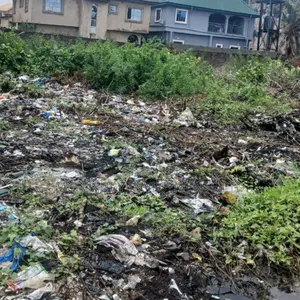 Sale of Land in Mixed Zone of Eko Atlantic