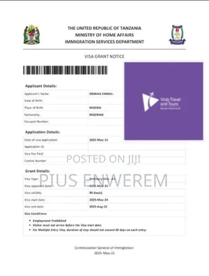 Tanzania Tourist Visa (100%)