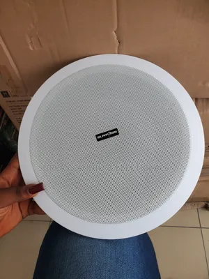 Ceiling/Pop Speakers