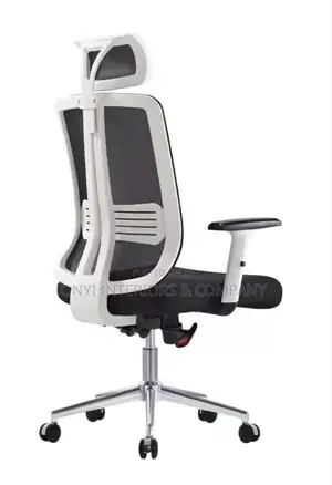 Ergonomic Mesh Executive Head Rest Office Chair