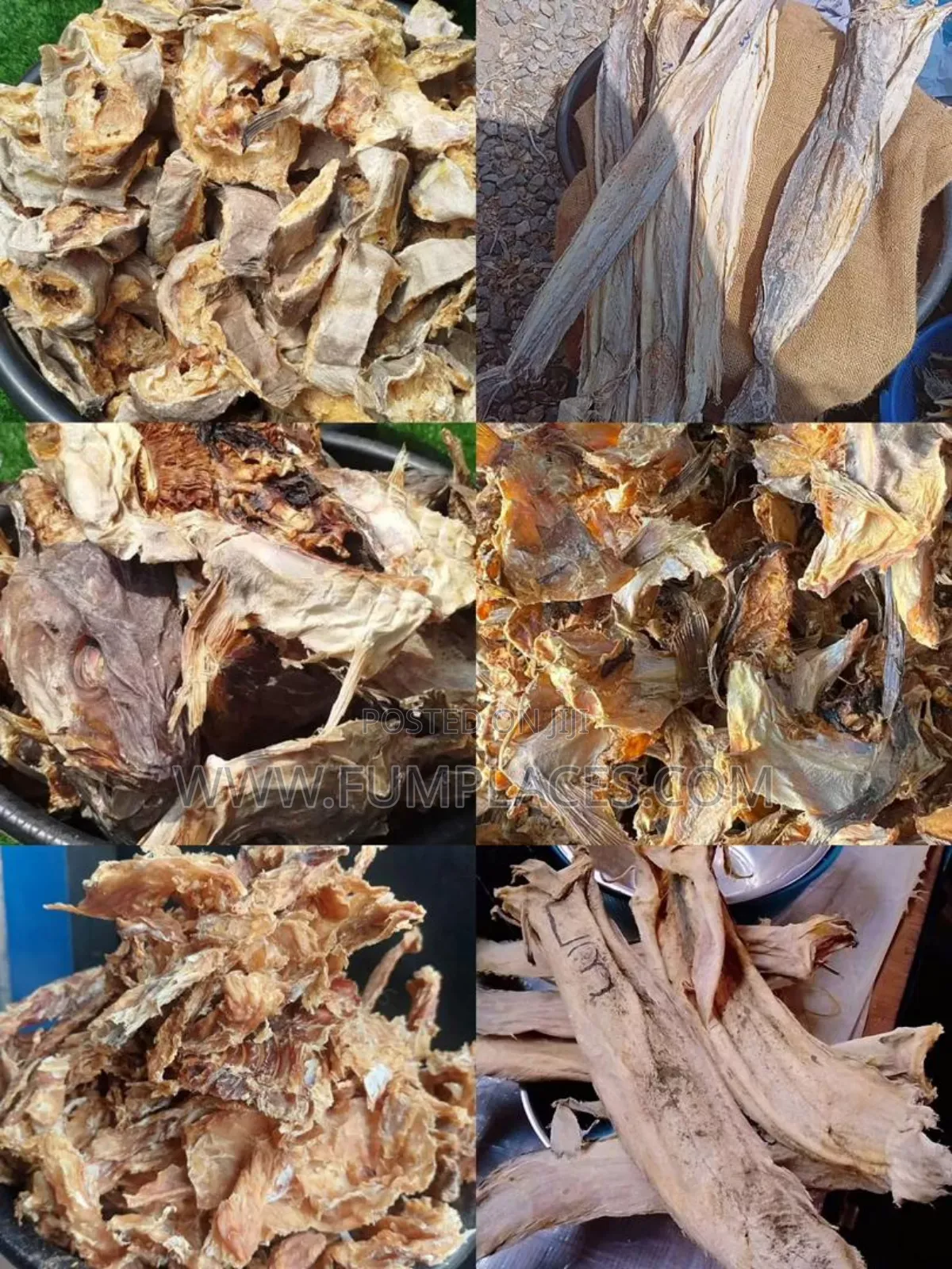 Stock Fish