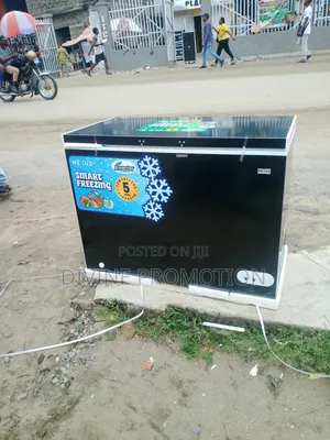 Nexus Inverter Chest Freezer, 265 Liters, Black Color.
