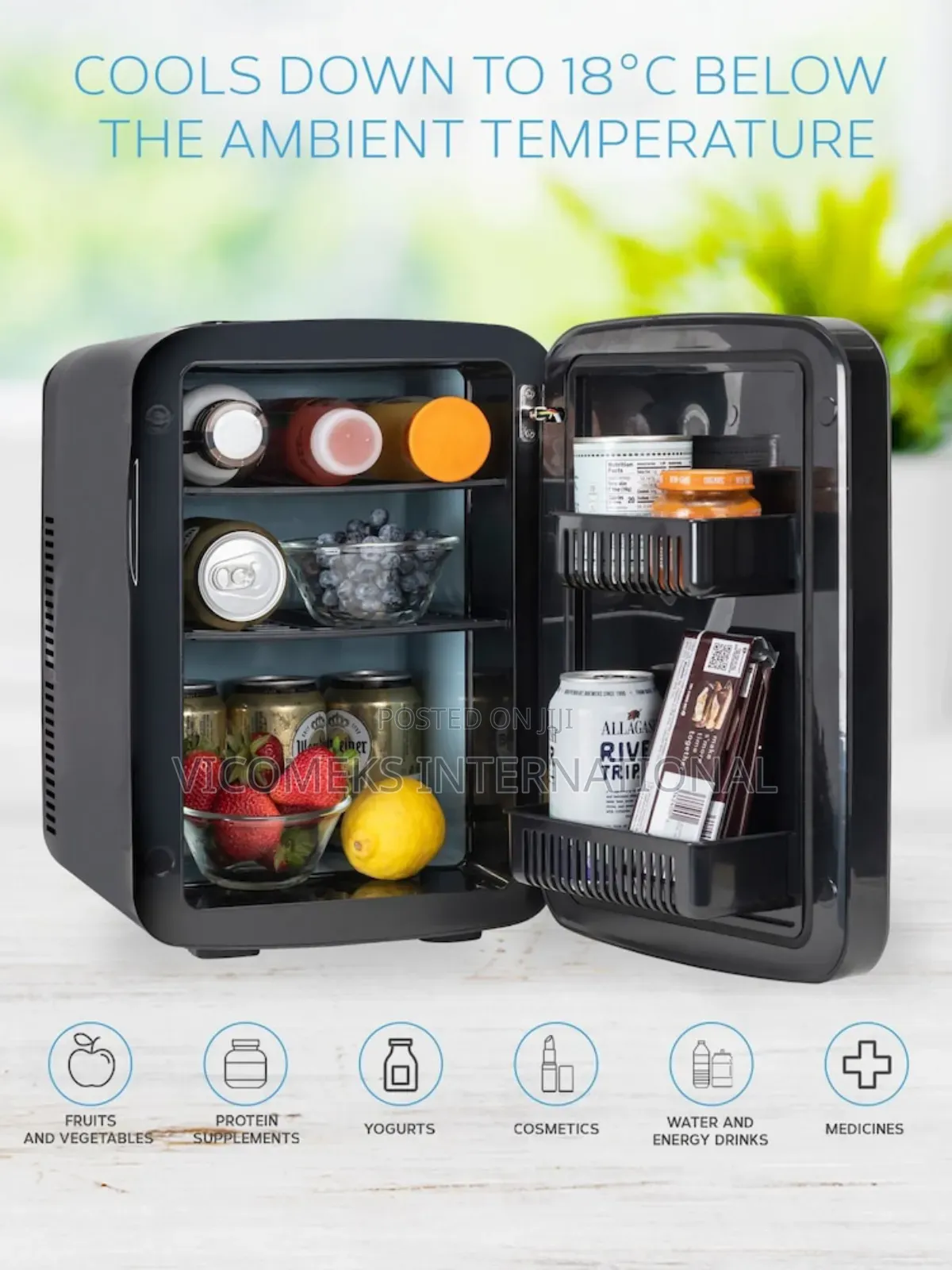 Car Fridge