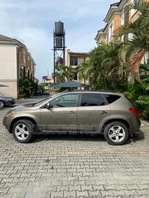 Nissan Murano 2003 Brown