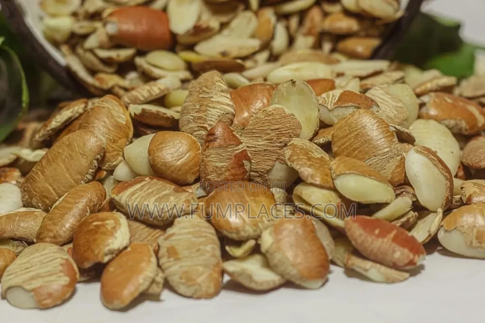 Ogbono ( Local Dish)