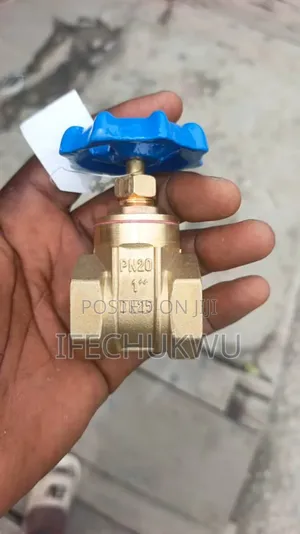 1 " Brass Gate Valve