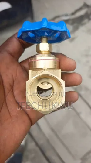 1 " Brass Gate Valve