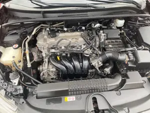 Toyota Corolla LE 2020 Gray