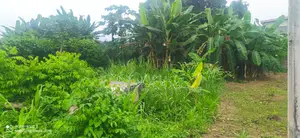 Land Forsale in Àlàfíà Estate