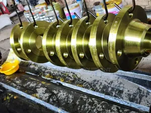 Weld Neck Flange