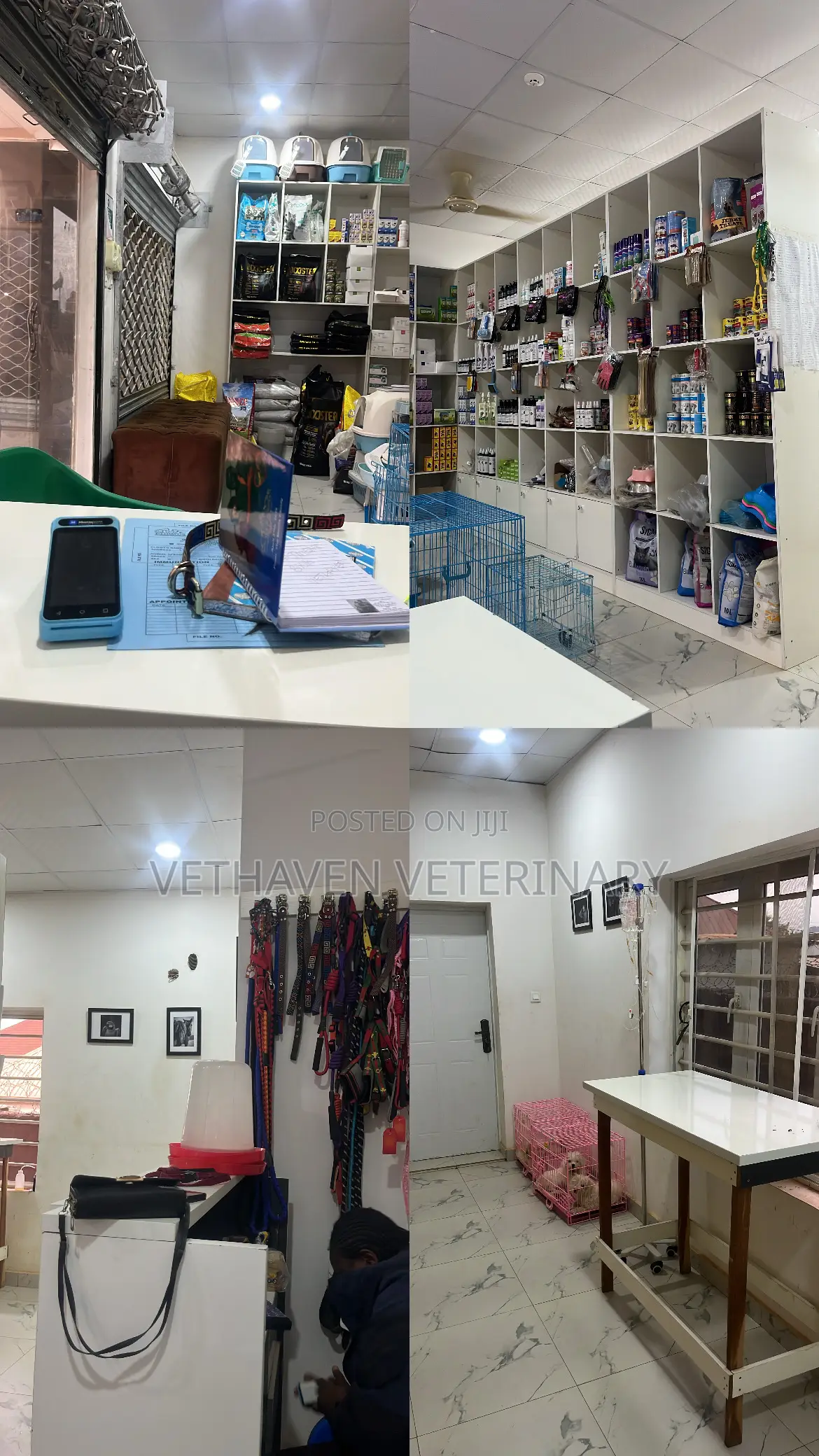 Veterinary Doctor