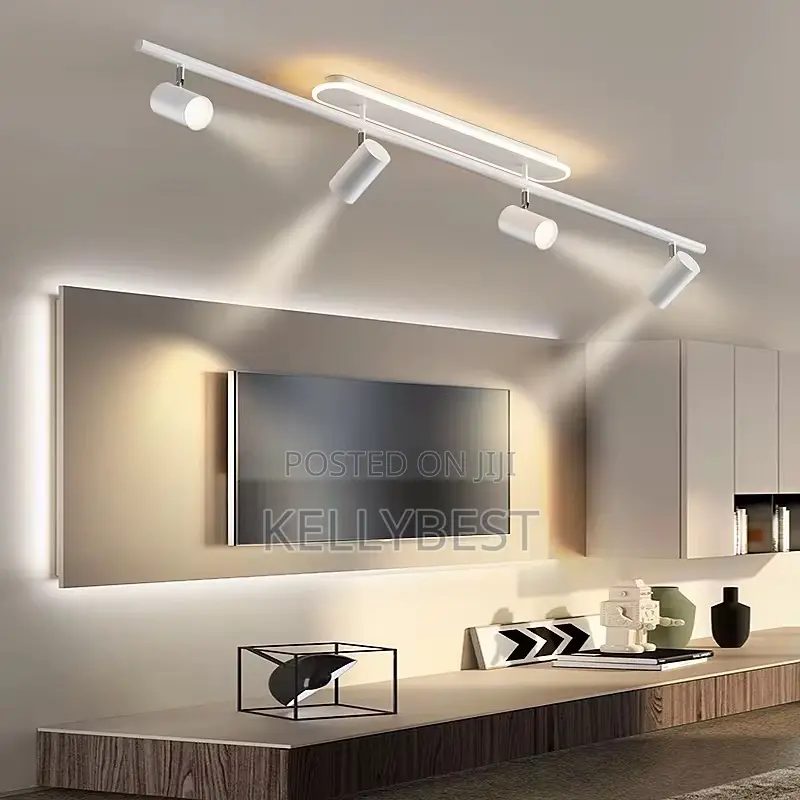 Nordic Rotating Sport Light