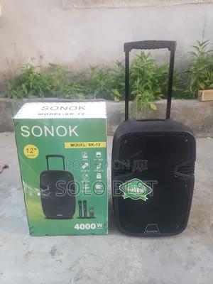 12 Inches Sonok Public Address System