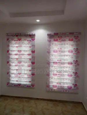 Children Character Day Night Blinds