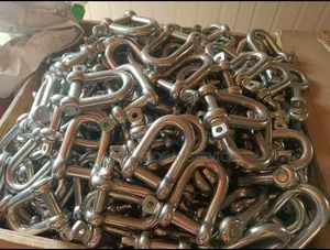 16mm Stainless Steel D Shackle Screw Pin